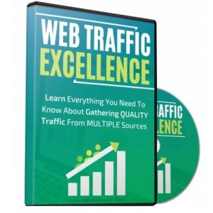 Web Traffic Excellence – Video Course